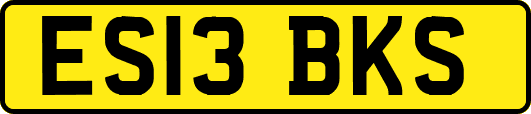 ES13BKS