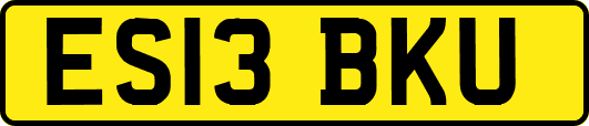 ES13BKU