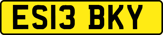 ES13BKY