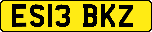 ES13BKZ