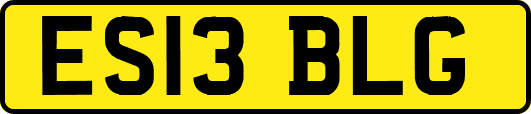 ES13BLG