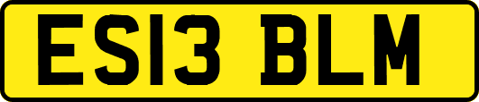 ES13BLM