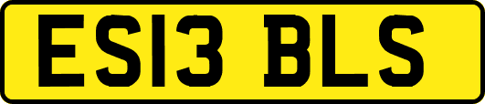 ES13BLS