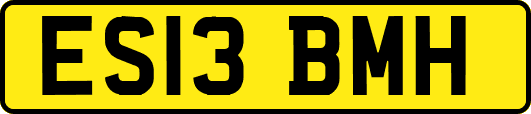 ES13BMH