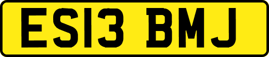 ES13BMJ