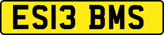 ES13BMS