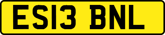 ES13BNL