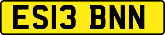 ES13BNN