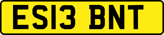 ES13BNT