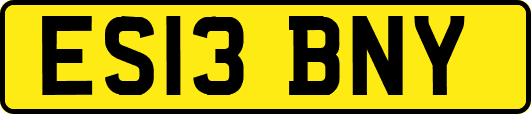 ES13BNY