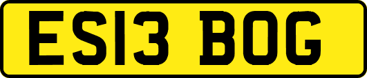 ES13BOG