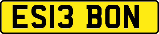 ES13BON