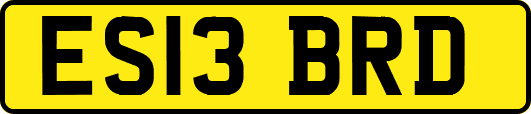 ES13BRD