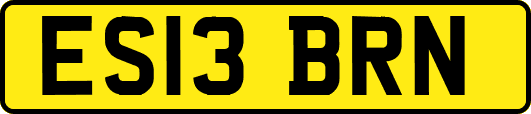 ES13BRN