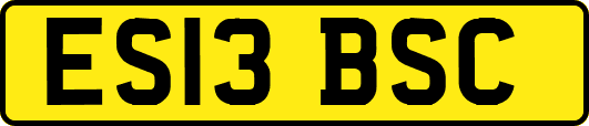 ES13BSC