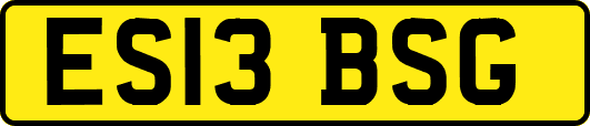 ES13BSG