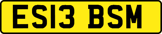 ES13BSM
