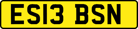ES13BSN