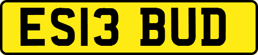 ES13BUD