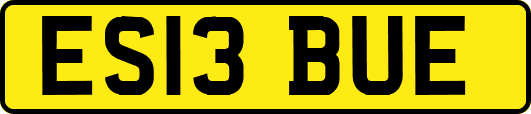 ES13BUE
