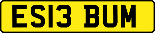 ES13BUM