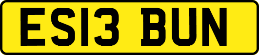 ES13BUN