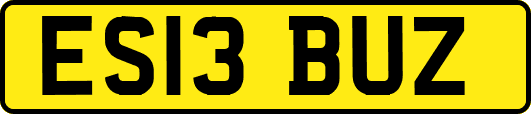 ES13BUZ