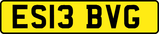 ES13BVG