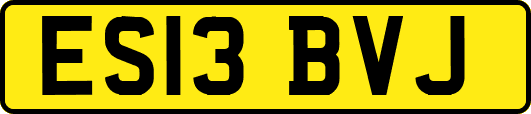 ES13BVJ