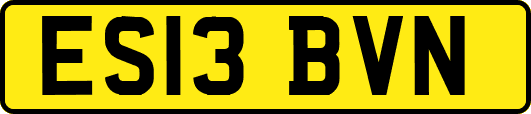 ES13BVN