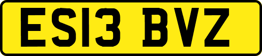 ES13BVZ
