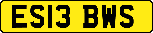 ES13BWS