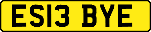ES13BYE