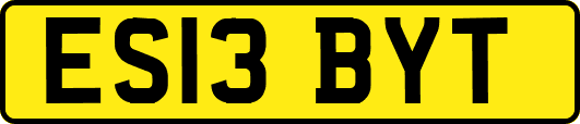 ES13BYT