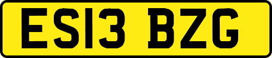 ES13BZG