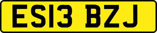 ES13BZJ