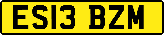 ES13BZM