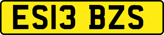 ES13BZS