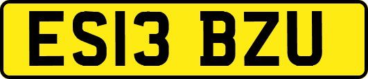 ES13BZU