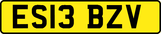 ES13BZV