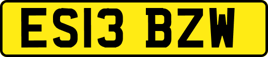 ES13BZW