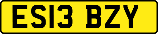 ES13BZY