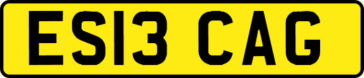 ES13CAG