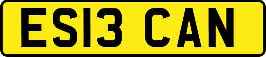 ES13CAN