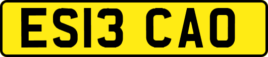 ES13CAO