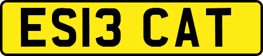 ES13CAT