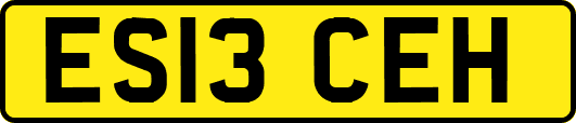 ES13CEH