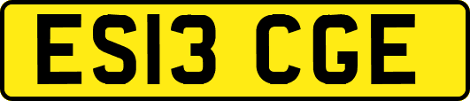ES13CGE