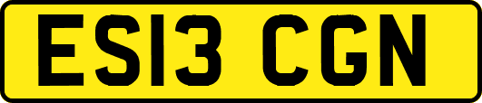 ES13CGN