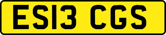 ES13CGS